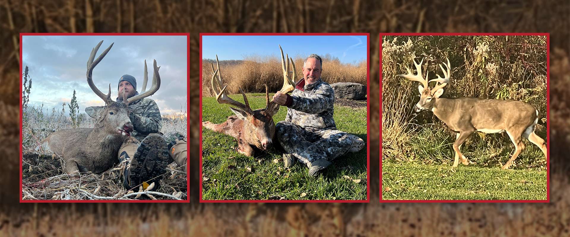 BigTine Whitetails Testimonials BigTine Whitetails Testimonials